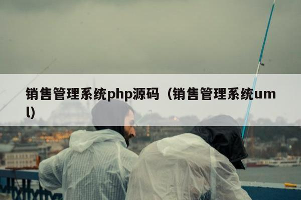 销售管理系统php源码（销售管理系统uml）