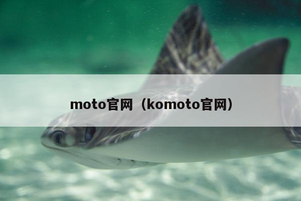 moto官网（komoto官网）