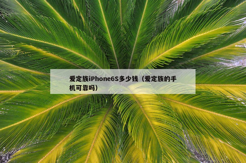 爱定族iPhone6S多少钱（爱定族的手机可靠吗）