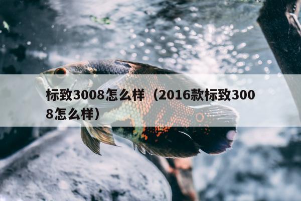 标致3008怎么样（2016款标致3008怎么样）