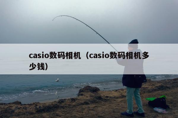 casio数码相机（casio数码相机多少钱）