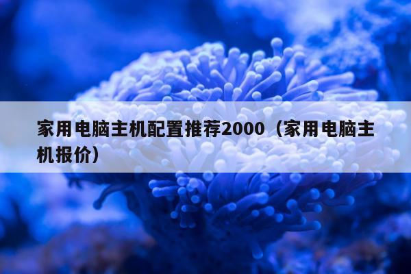 家用电脑主机配置推荐2000（家用电脑主机报价）