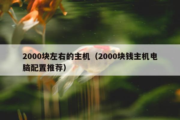 2000块左右的主机（2000块钱主机电脑配置推荐）