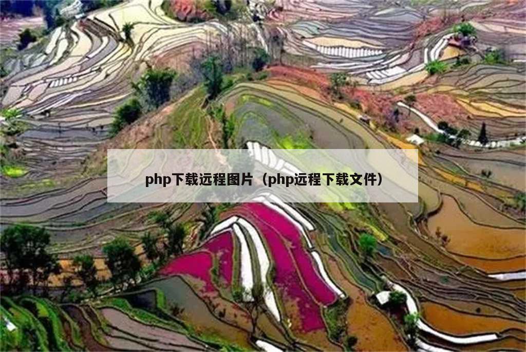 php下载远程图片（php远程下载文件）