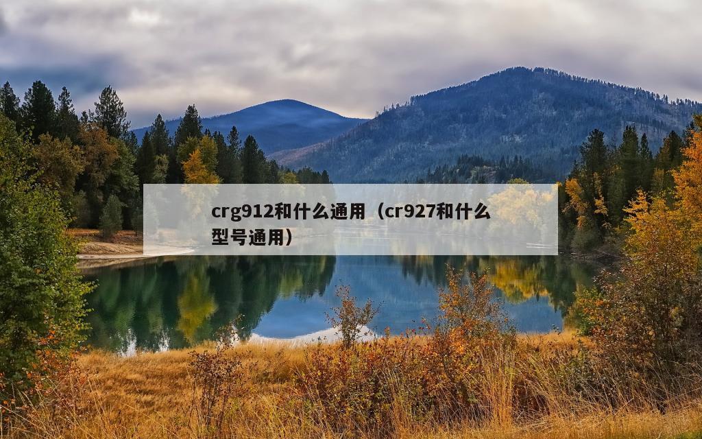 crg912和什么通用（cr927和什么型号通用）