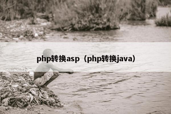 php转换asp（php转换java）