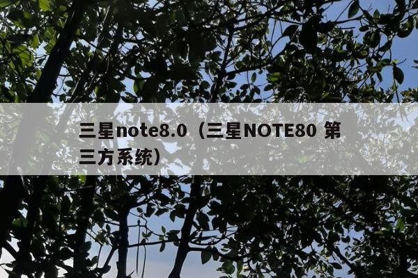 三星note8.0（三星NOTE80 第三方系统）