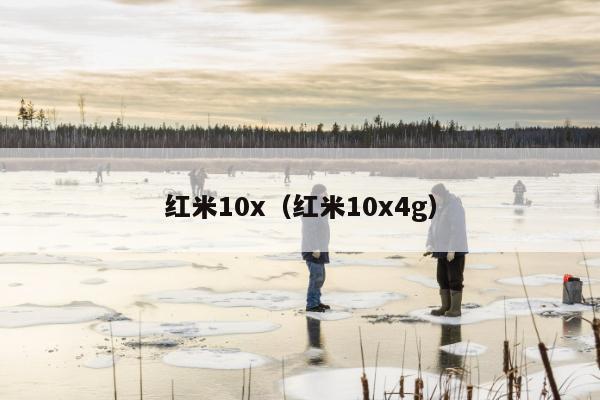 红米10x（红米10x4g）