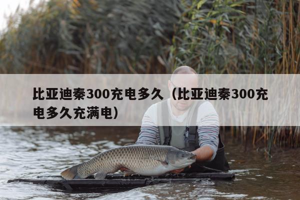 比亚迪秦300充电多久（比亚迪秦300充电多久充满电）