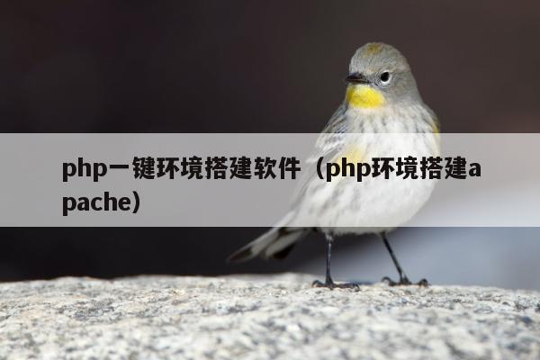 php一键环境搭建软件（php环境搭建apache）