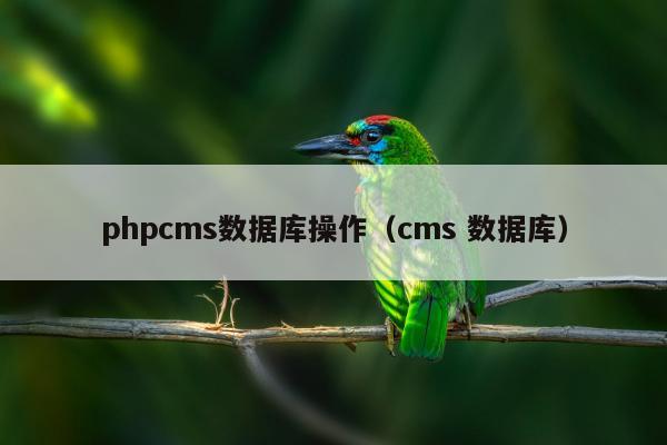 phpcms数据库操作（cms 数据库）