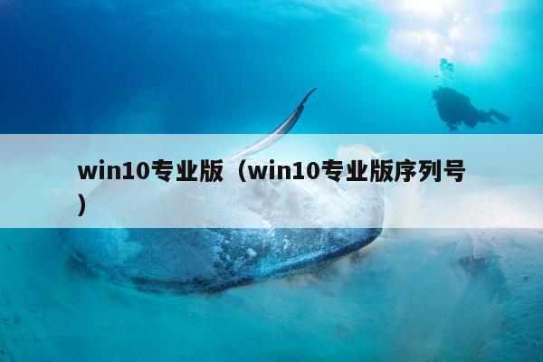 win10专业版（win10专业版序列号）