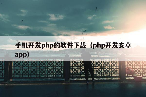 手机开发php的软件下载（php开发安卓app）