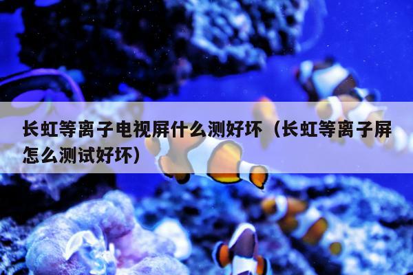 长虹等离子电视屏什么测好坏（长虹等离子屏怎么测试好坏）