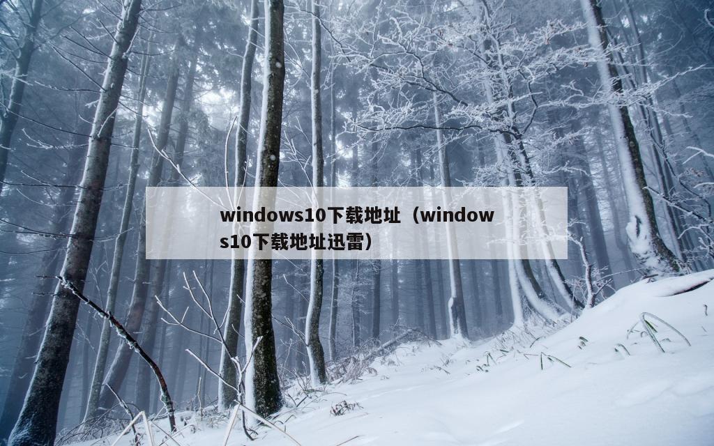 windows10下载地址（windows10下载地址迅雷）