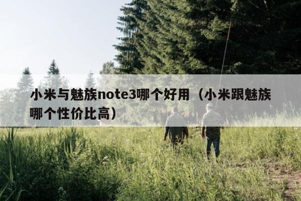 小米与魅族note3哪个好用（小米跟魅族哪个性价比高）