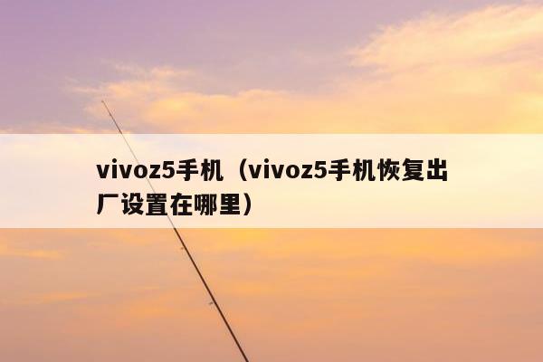 vivoz5手机（vivoz5手机恢复出厂设置在哪里）