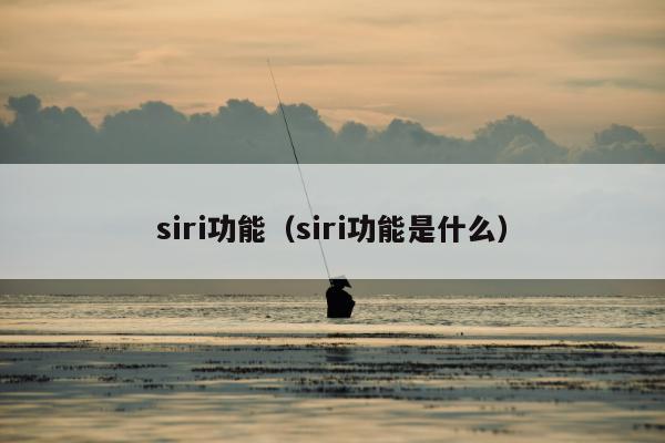 siri功能（siri功能是什么）