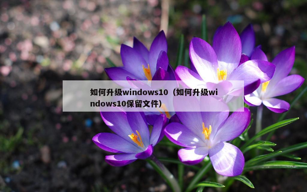 如何升级windows10（如何升级windows10保留文件）