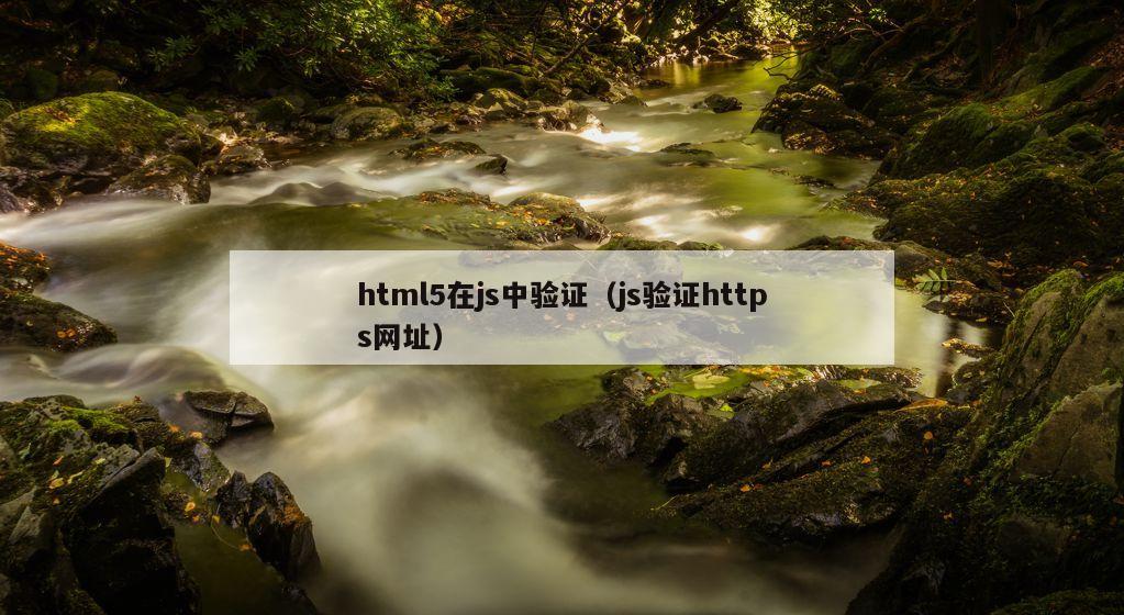 html5在js中验证（js验证https网址）