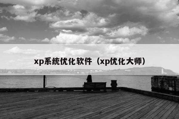 xp系统优化软件（xp优化大师）