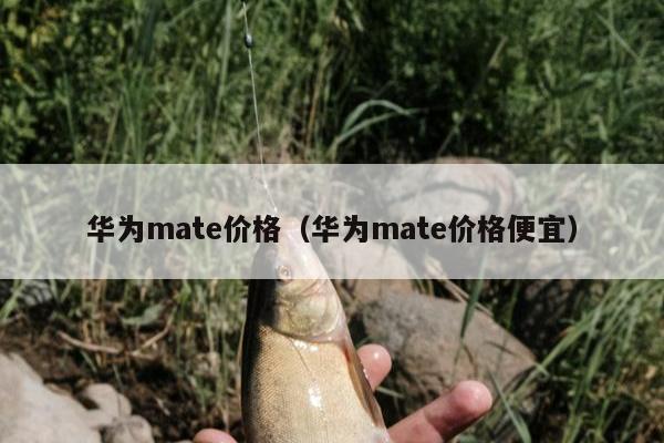 华为mate价格（华为mate价格便宜）