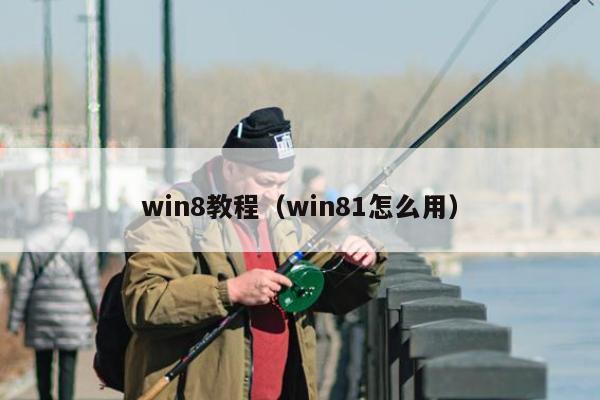 win8教程（win81怎么用）