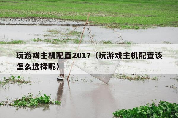 玩游戏主机配置2017（玩游戏主机配置该怎么选择呢）