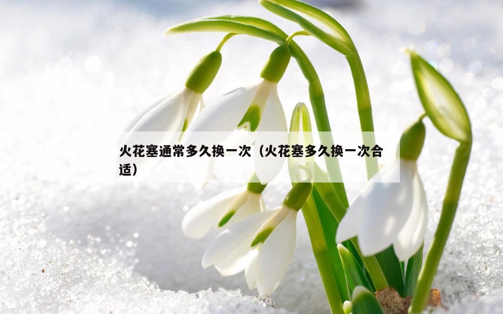 火花塞通常多久换一次（火花塞多久换一次合适）