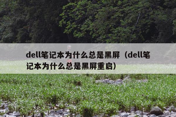 dell笔记本为什么总是黑屏（dell笔记本为什么总是黑屏重启）