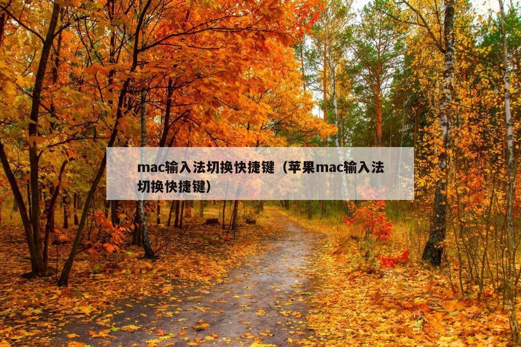 mac输入法切换快捷键（苹果mac输入法切换快捷键）