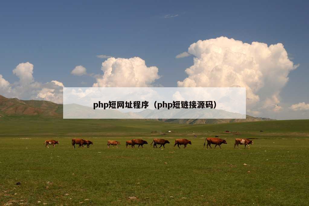 php短网址程序（php短链接源码）