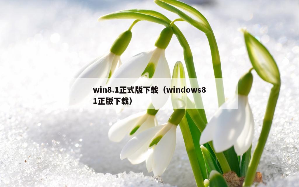 win8.1正式版下载（windows81正版下载）