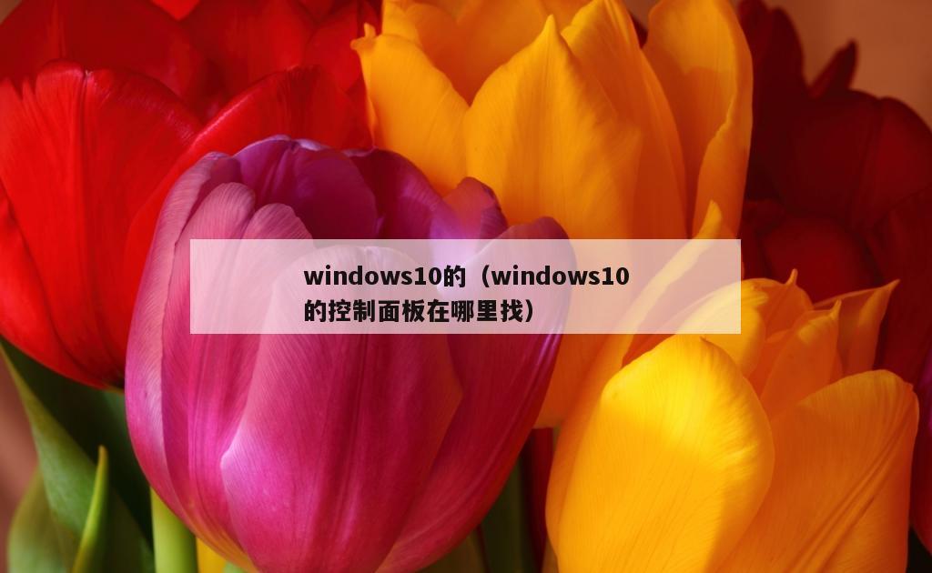 windows10的（windows10的控制面板在哪里找）