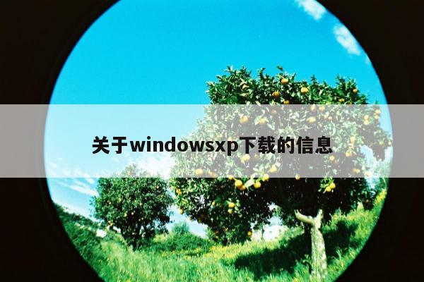 关于windowsxp下载的信息