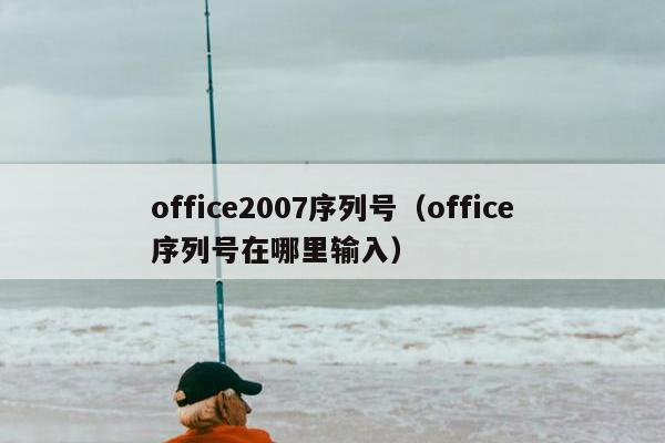 office2007序列号（office序列号在哪里输入）