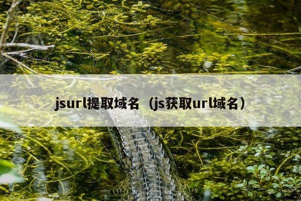 jsurl提取域名（js获取url域名）