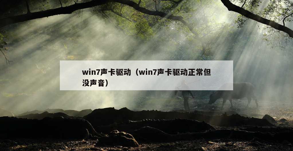 win7声卡驱动（win7声卡驱动正常但没声音）