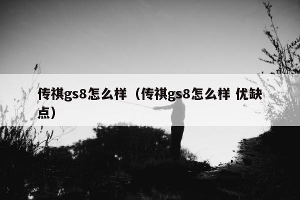 传祺gs8怎么样（传祺gs8怎么样 优缺点）