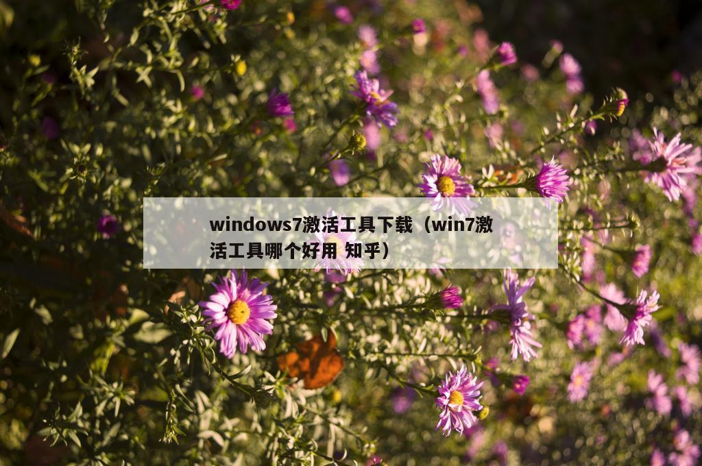 windows7激活工具下载（win7激活工具哪个好用 知乎）