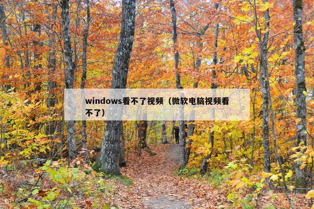 windows看不了视频（微软电脑视频看不了）