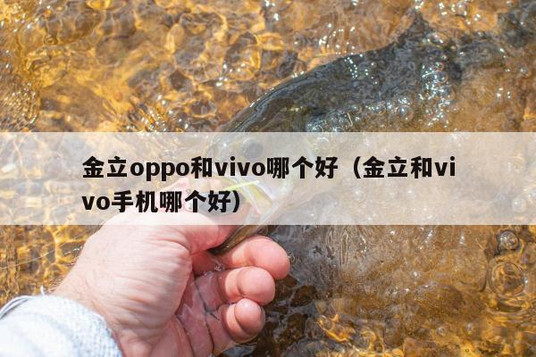 金立oppo和vivo哪个好（金立和vivo手机哪个好）