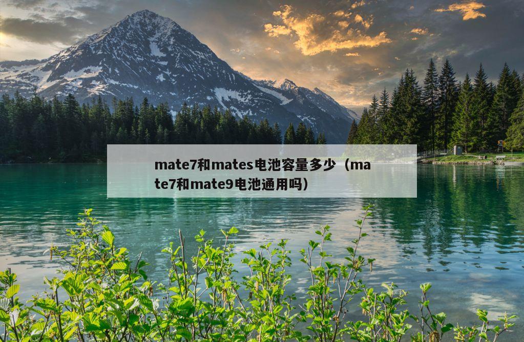 mate7和mates电池容量多少（mate7和mate9电池通用吗）