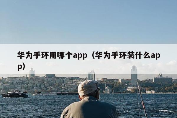 华为手环用哪个app（华为手环装什么app）