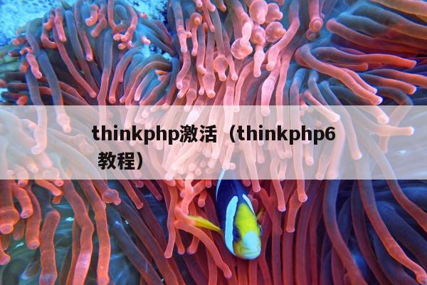 thinkphp激活（thinkphp6 教程）