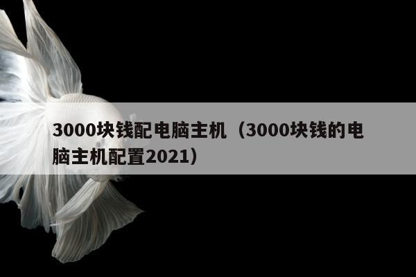 3000块钱配电脑主机（3000块钱的电脑主机配置2021）