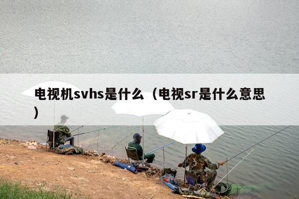 电视机svhs是什么（电视sr是什么意思）