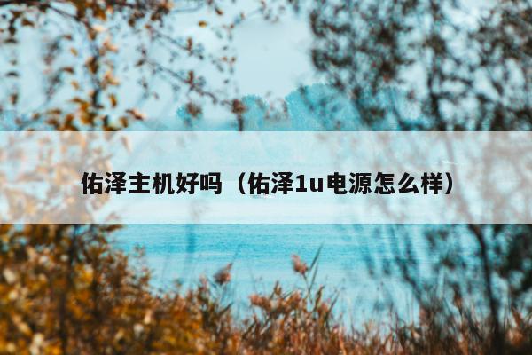 佑泽主机好吗（佑泽1u电源怎么样）