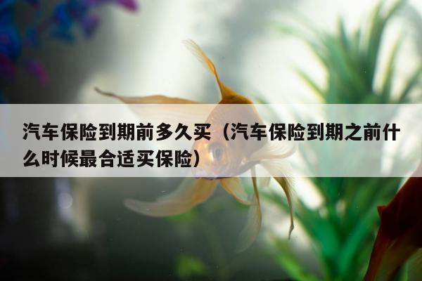 汽车保险到期前多久买（汽车保险到期之前什么时候最合适买保险）