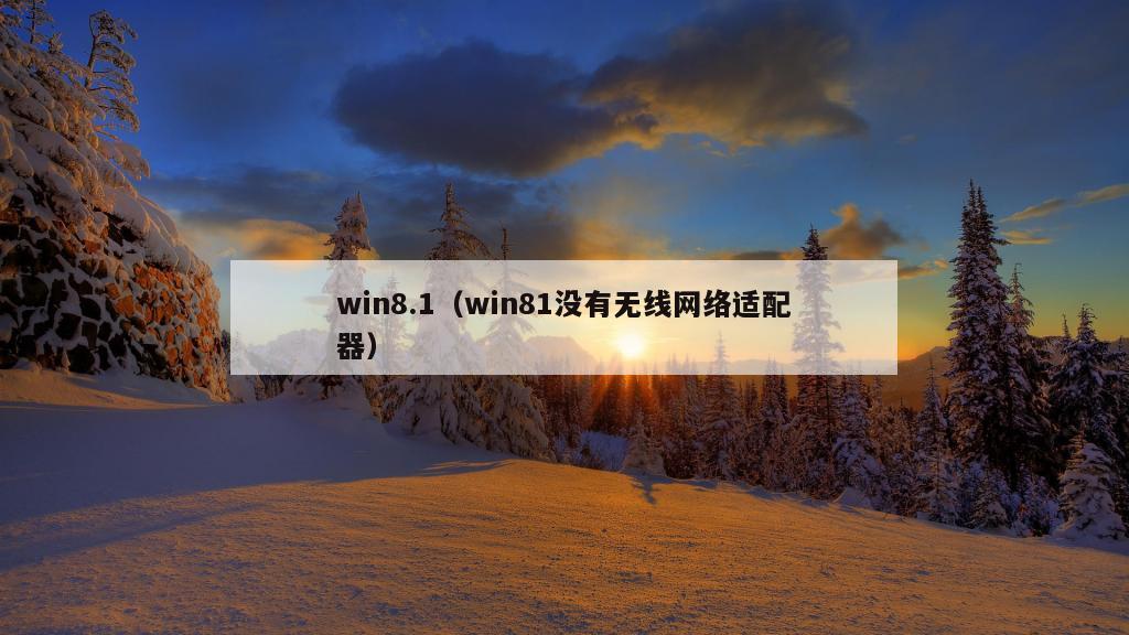 win8.1（win81没有无线网络适配器）